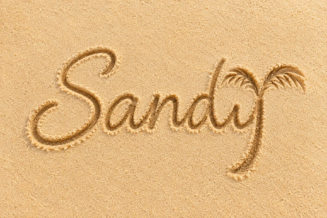 Sandy traced in warm beach sand with the final y forming the trunk and fronds of a palm tree